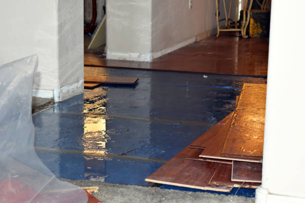 Professional Sewage Cleanup technician working in Sebastopol, MS